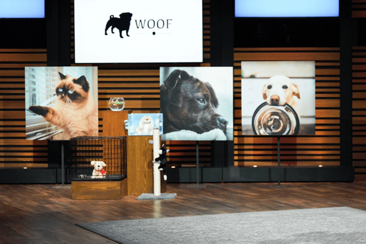 Woof Shark Tank Update | Shark Tank Season 14